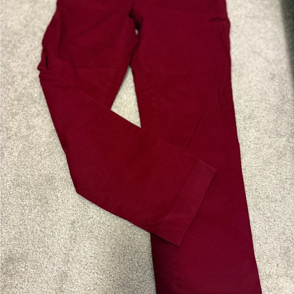 Express Men Burgundy Trousers